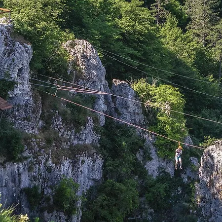 Pazin 10 Daire Pazin